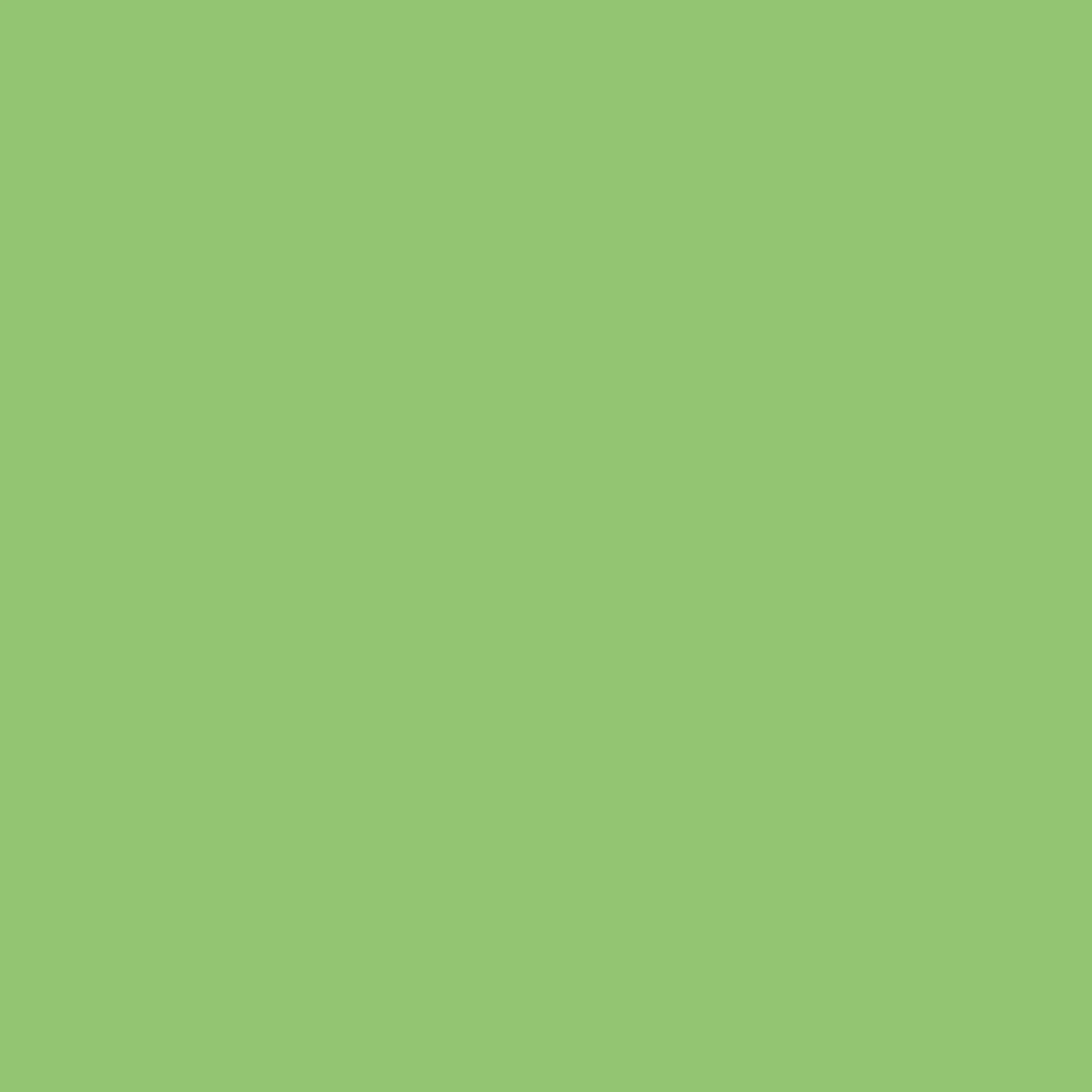Pistachio-background-image.webp